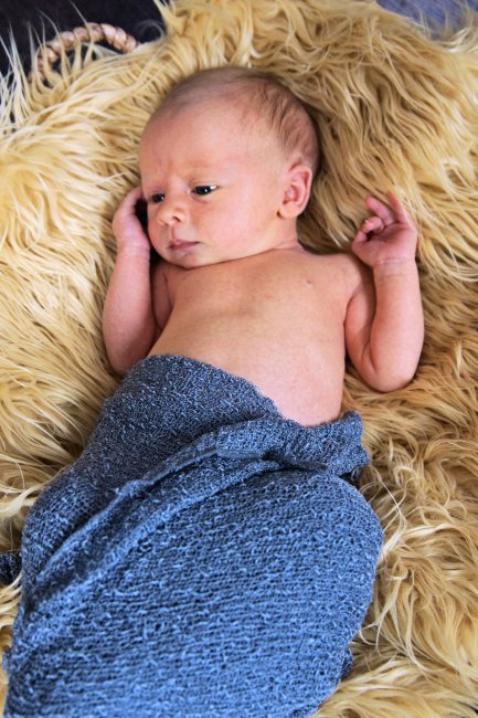 ../previews/065-ZANE-243.JPG.medium.jpeg
