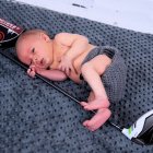 ../thumbnails/033-ZANE-093.JPG.small.jpeg