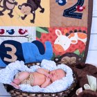 ../thumbnails/034-ZANE-115.JPG.small.jpeg