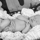 ../thumbnails/036-ZANE-118.JPG.small.jpeg