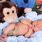 ../thumbnails/038-ZANE-128.JPG.small.jpeg