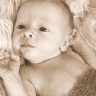 ../thumbnails/054-ZANE-212 (2).JPG.small.jpeg