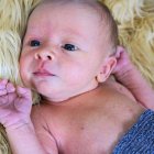 ../thumbnails/055-ZANE-212.JPG.small.jpeg