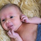 ../thumbnails/057-ZANE-217.JPG.small.jpeg