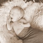 ../thumbnails/058-ZANE-226 (2).JPG.small.jpeg