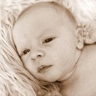 ../thumbnails/062-ZANE-236 (2).JPG.small.jpeg