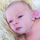 ../thumbnails/063-ZANE-236.JPG.small.jpeg