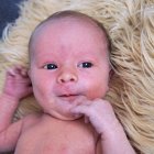 ../thumbnails/064-ZANE-259.JPG.small.jpeg