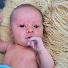../thumbnails/067-ZANE-260.JPG.small.jpeg