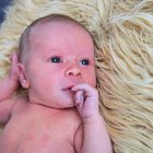../thumbnails/069-ZANE-262.JPG.small.jpeg