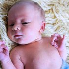 ../thumbnails/077-ZANE-301.JPG.small.jpeg