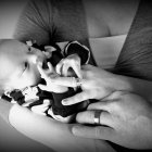 ../thumbnails/087-ZANE-359 (2).JPG.small.jpeg